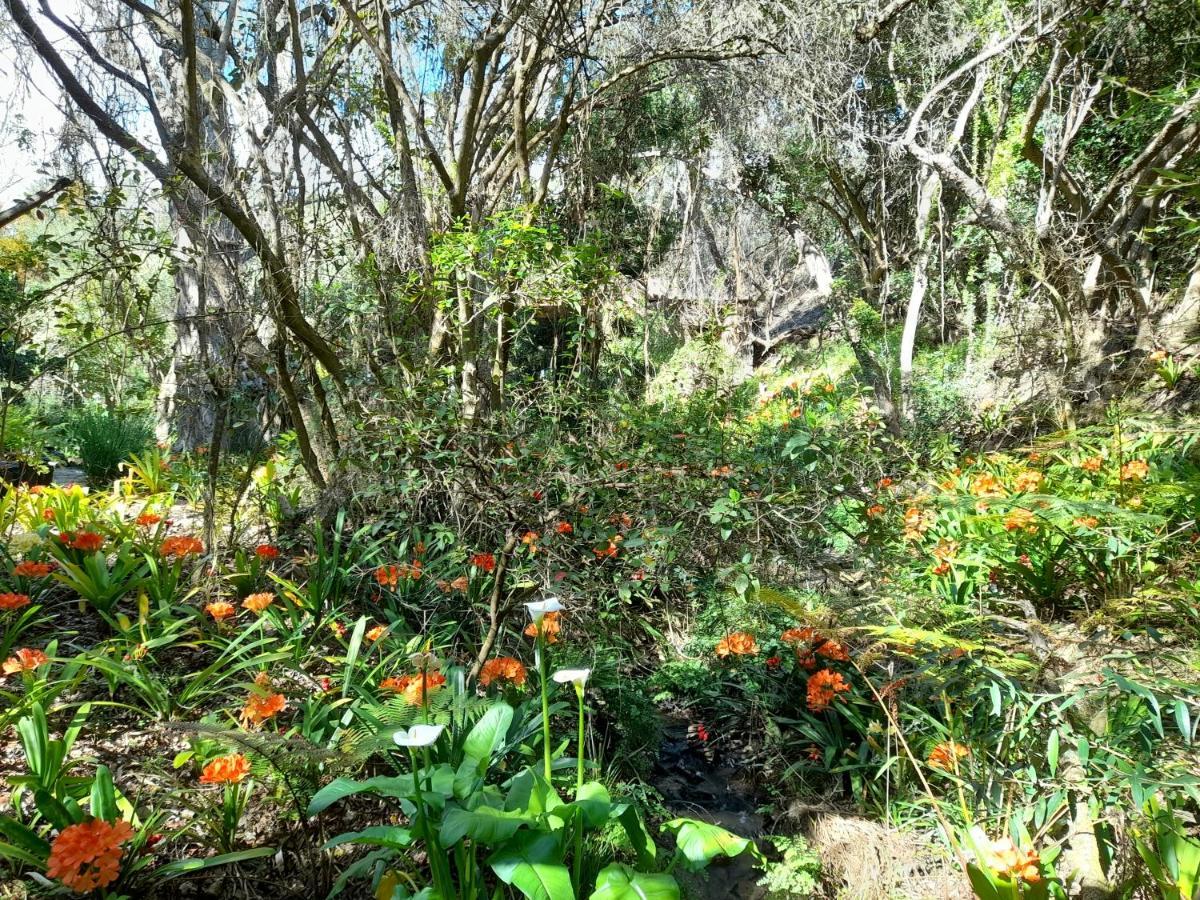 Muffets At Kransfontein Estate Apartman Stilbaai Kültér fotó